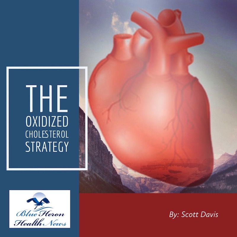 The Oxizied Cholesterol Strategy