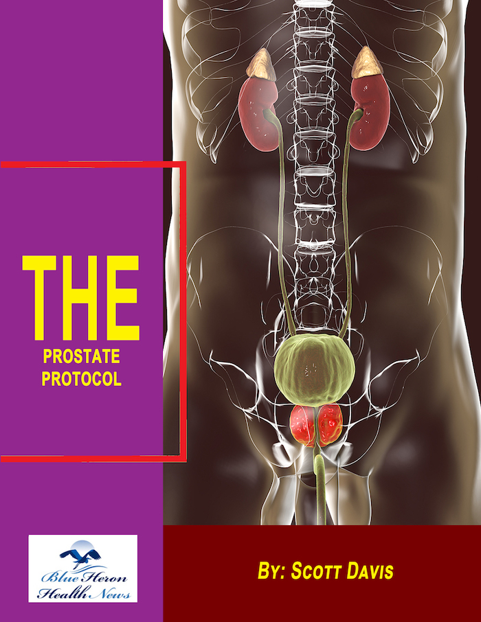 The Prostate Protocol reviews