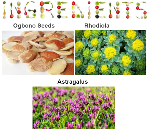 Isogenics Tonic ingredients