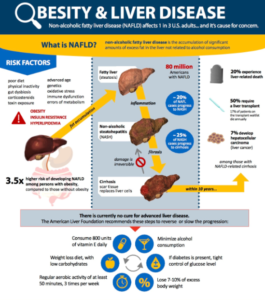 The Non Alcoholic Fatty Liver Disease Solution Reviews