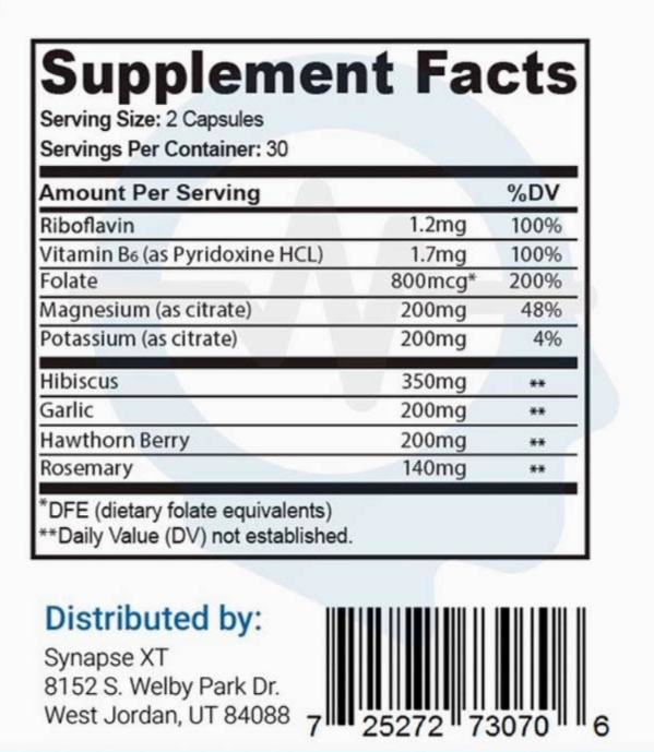 synapse xt ingredients