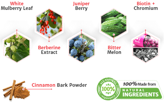 CareRenew Blood Sugar Balance Ingredients