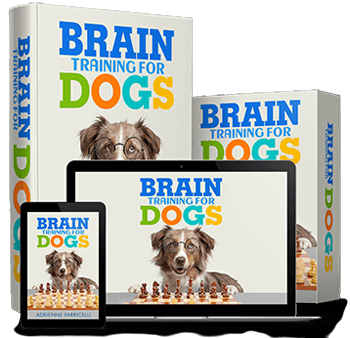 Brain Training for Dogs Review