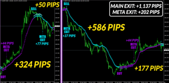 FX Meta Scalper Forex Trading Software