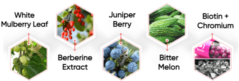 Guardian Botanicals Blood Balance Ingredients