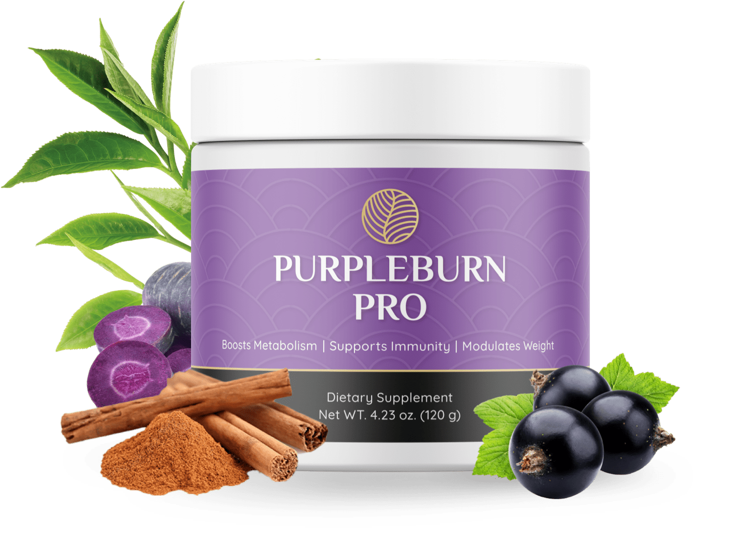 PurpleBurn Pro Reviews