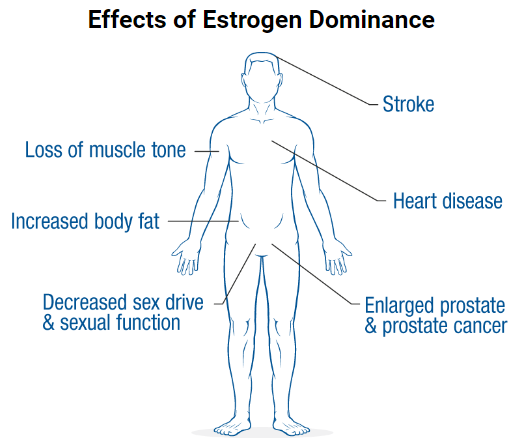 Estro-Cleanse Plus Supplement - Effects of Estrogen