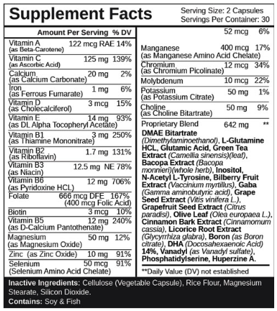 NootroGen Ingredients