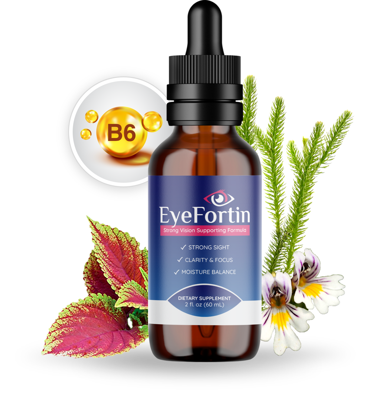 EyeFortin Reviews