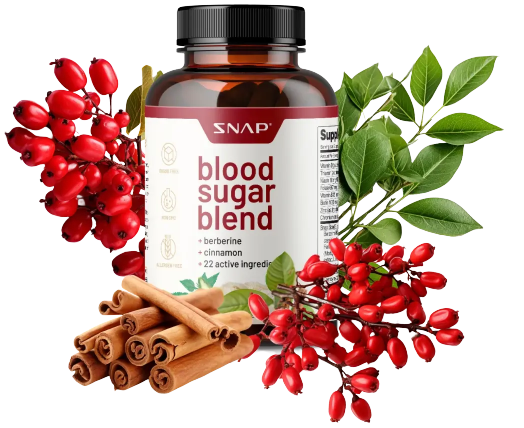 Snap Blood Sugar Blend single bottle