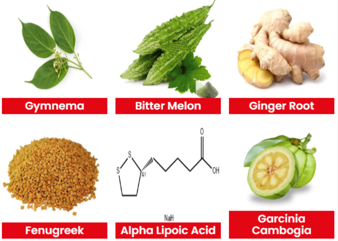 GL-90 Ingredients