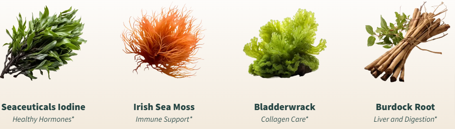 Snap Irish Sea Moss Ingredients