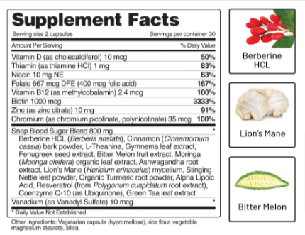 Snap Blood Sugar Support Ingredients