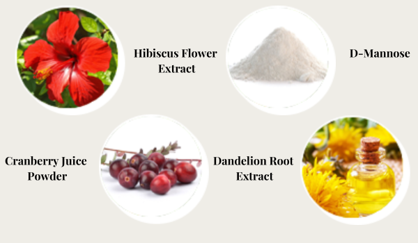 BladderShield-Ingredients