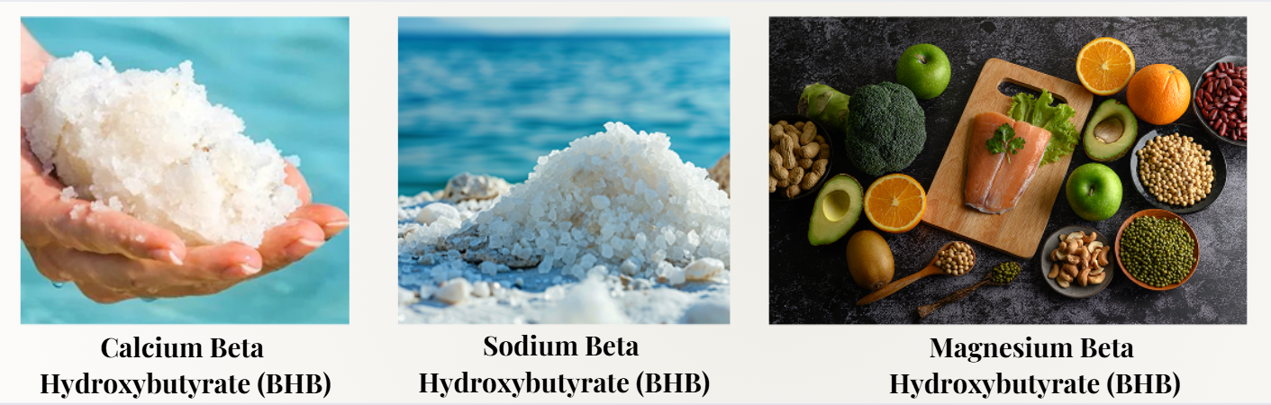 Leptozan Ingredients