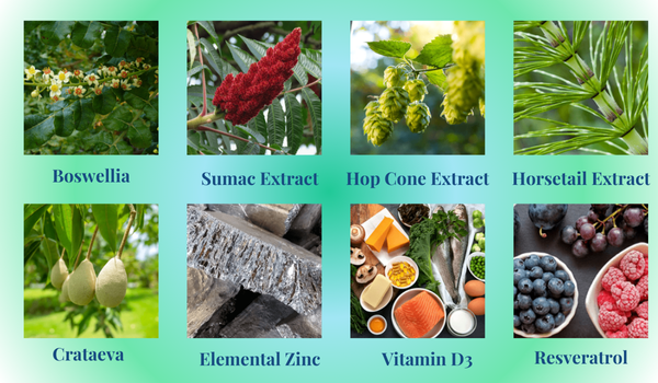 Primera Ingredients