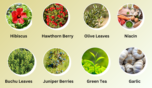 Ring-Clear-Ingredients